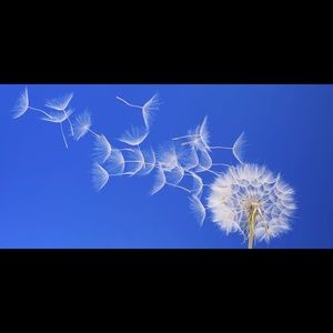 Meet your Posher, Eliana